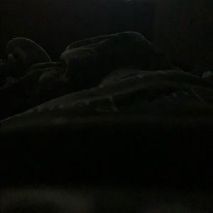 Meet your Posher, Delfinia